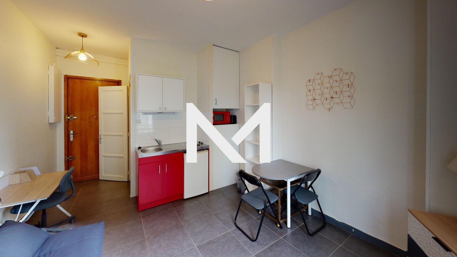 ILE VERTE AVENUE MARECHAL RANDON - Studio meublé en très bon état - Photo 1