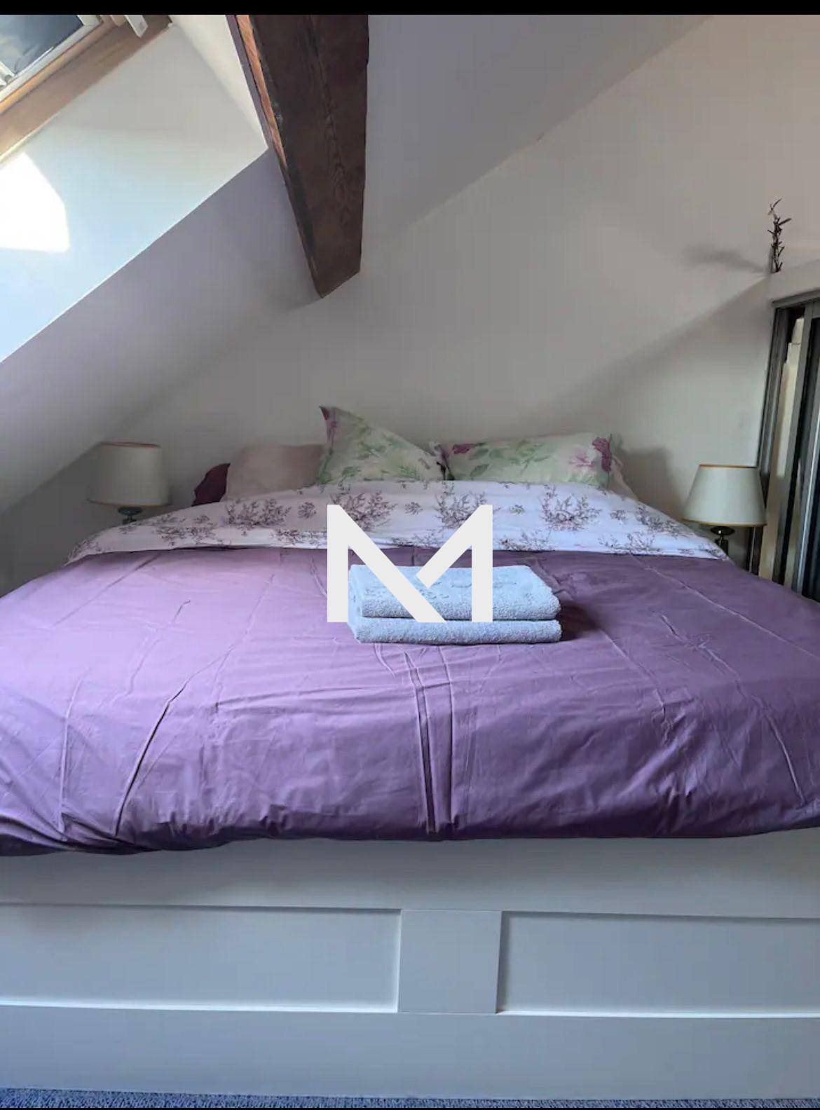 GRENOBLE VICTOR HUGO - T3 DUPLEX - CHARME - Photo 9