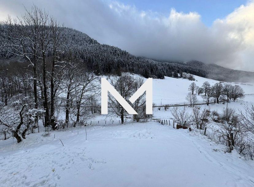 SAINT PIERRE DE CHARTREUSE - MAISON MEUBLEE 4 PIECES - Photo 4