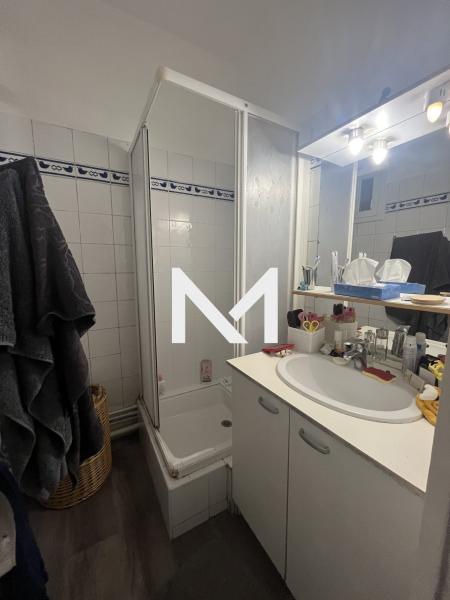 GRENOBLE - ILE VERTE - T1 bis - loué - Photo 6