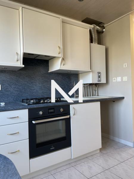 T4 Lumineux - Saint-Martin-d'hères - Photo 7