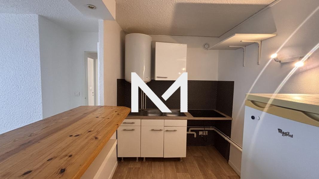 ILE VERTE T2 Rue Mortillet - Photo 6