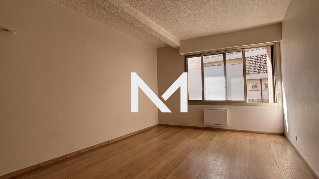 ILE VERTE T2 Rue Mortillet - Photo 10