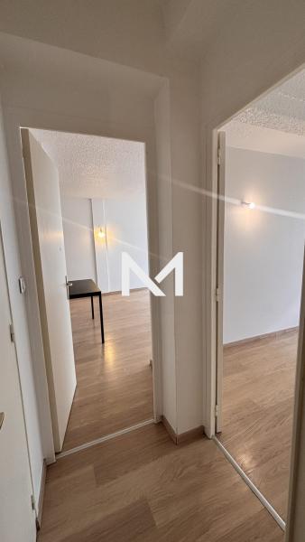 ILE VERTE T2 Rue Mortillet - Photo 7