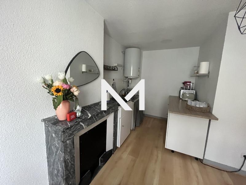 GRENOBLE - T2 - CALME - IDEAL INVEST OU PRIMO ACCEDANT - Photo 3