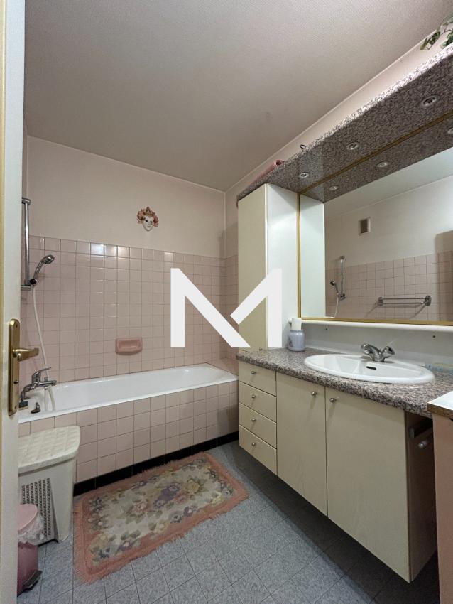 MEYLAN - SECTEUR AYGUINARD - GRAND T4 - Photo 9