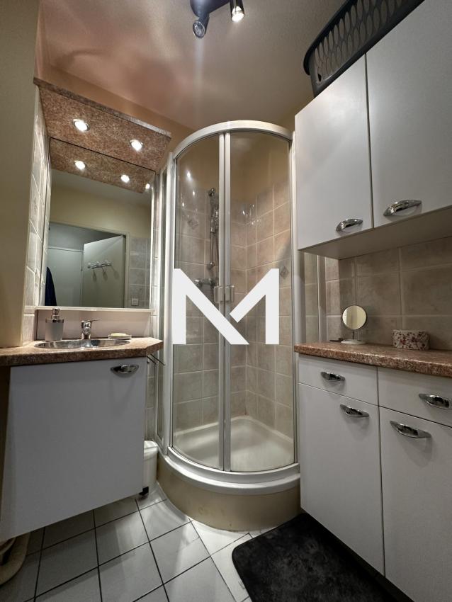 FONTAINE - T3 MEUBLE AVEC GRAND BALCON ET GARAGE - Photo 6