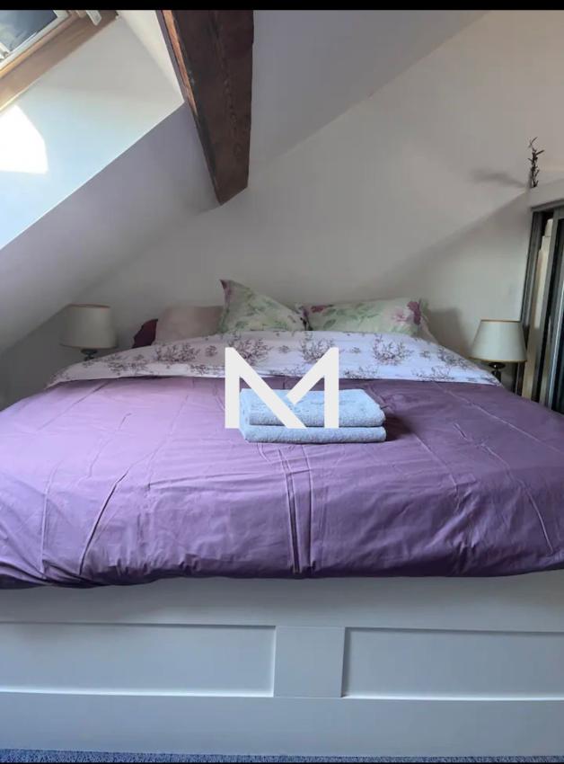 GRENOBLE VICTOR HUGO - T3 DUPLEX - CHARME - Photo 9