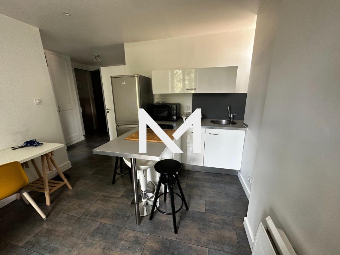 GRENOBLE - QUAI DES ALLOBROGES - PROX LA TRONCHE - T2 MEUBLE AVEC GARAGE - Photo 2